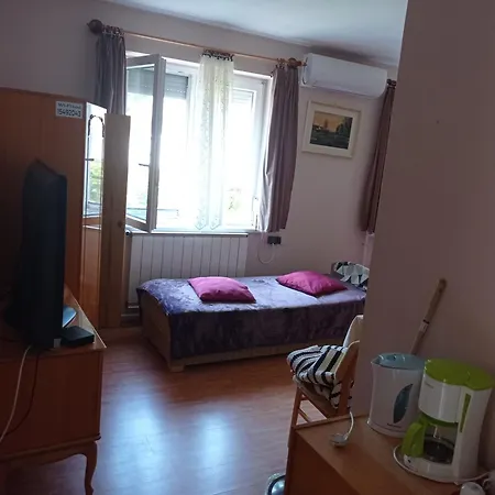 Pensionat Partifecske Vendeghaz *